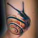 tattoo galleries/ - Snail